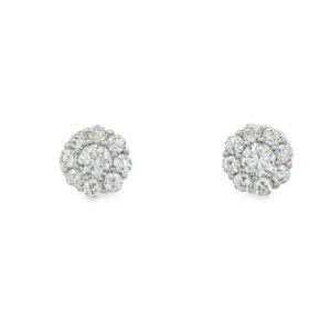 Elegant Round Cubic Zirconia Earrings in .925 Silver