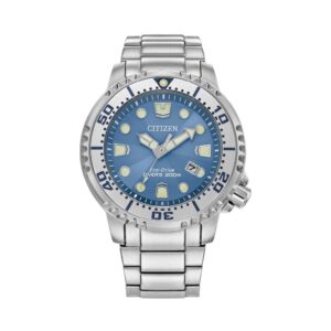 Citizen SS Promaster Dive Eco-Drive