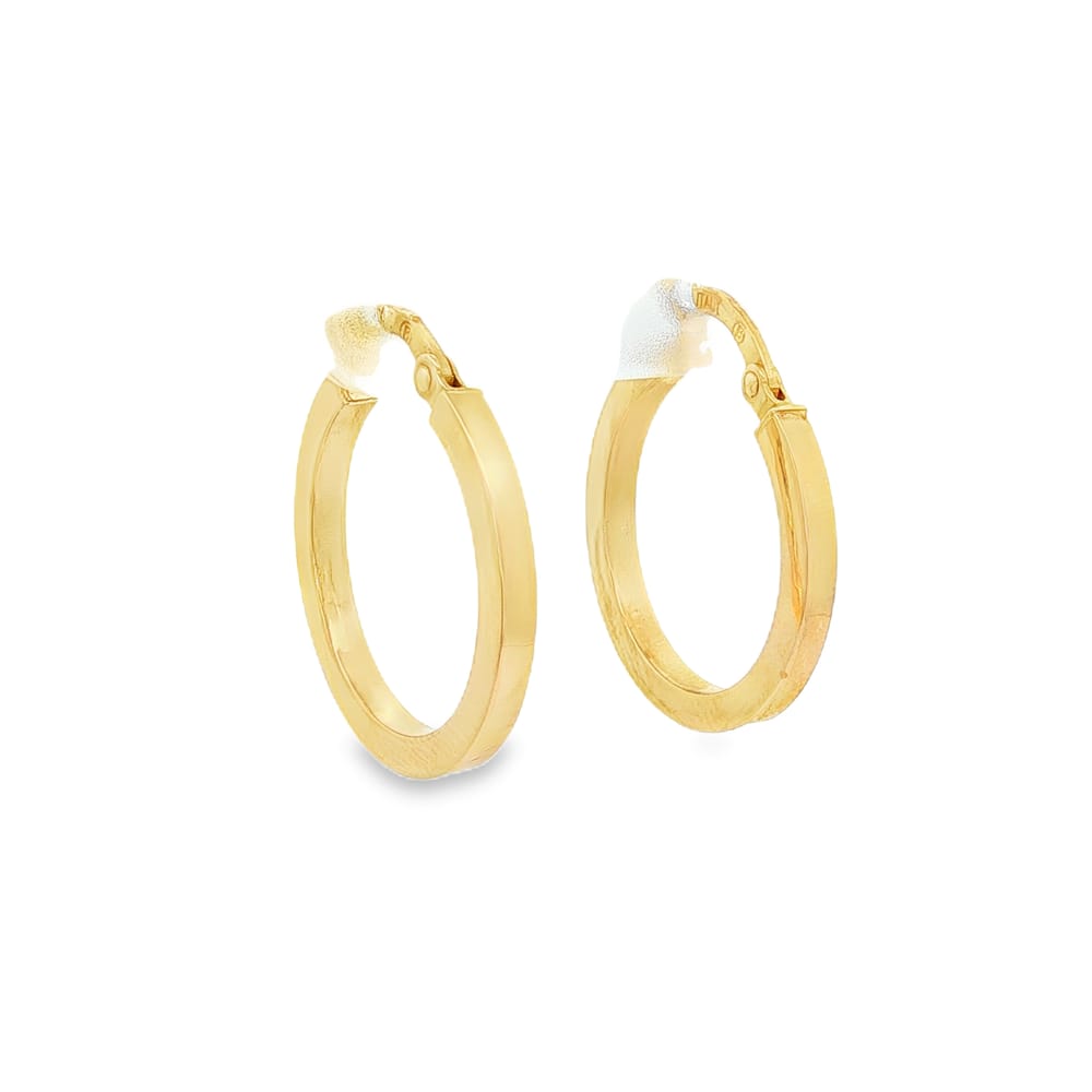 14K Gold Yellow Earrings for Women, 1.07g Gross Weight
