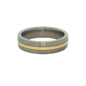 Men's 18K and Yellow Gold Titanium Wedding Band