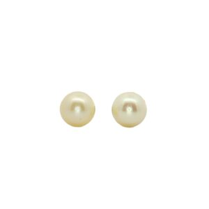 14Kt WG 7-7.5mm Pearl Studs